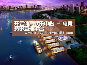 案例展示八