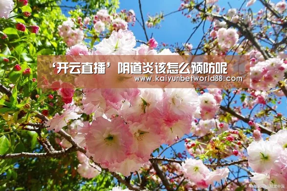 开云直播