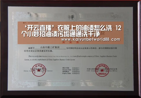 ‘开云直播’衣服上的油渍怎么洗 12个小妙招油渍污垢通通洗干净(图1) 开云赛事